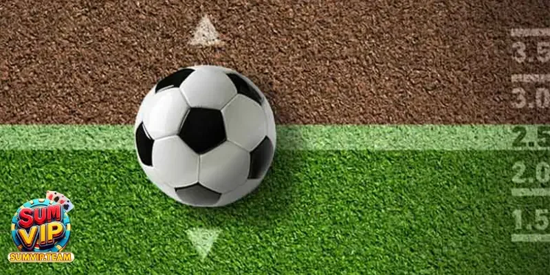 Chiến thuật cách bắt kèo trong bóng đá chuẩn xác nhất