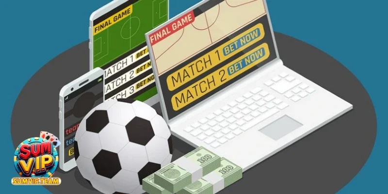 Theo dõi sát các thông tin về đội bóng và biến động kèo